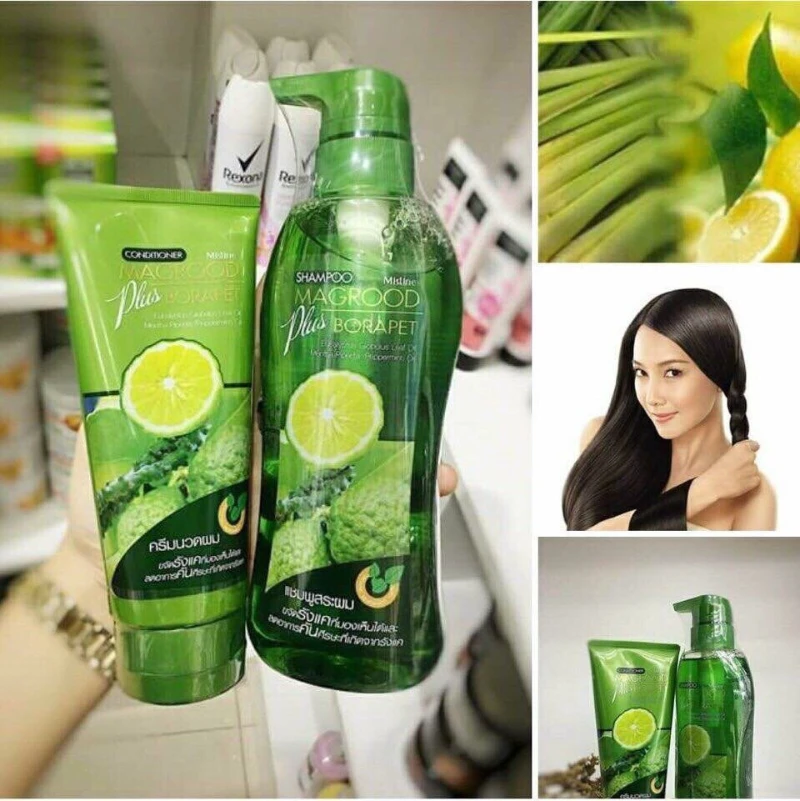 Bộ Gội Xả Chanh Trị Gàu - Ngăn Tóc Rụng Mistine Magrood Plus Borapet Thái Lan - ảnh 2