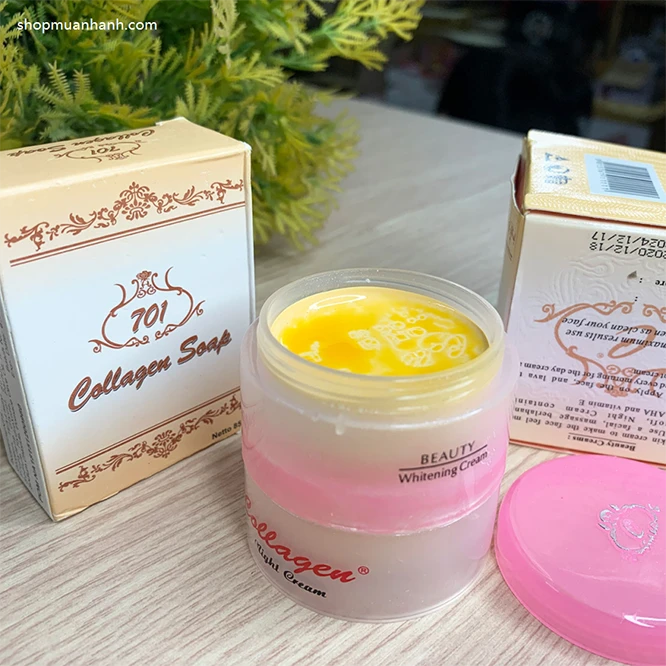 Bộ Siêu Trị Nám Tàn Nhang Collagen Plus Vit E Indonesia - ảnh 5