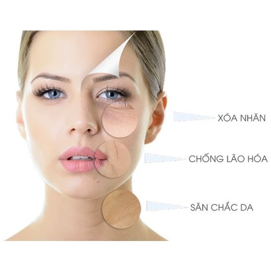 Huyết Thanh Tế Bào Gốc Ladamer Original Cell Serum Ladamer - ảnh 2
