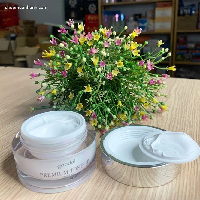Kem Ốc Sên Dưỡng Trắng Goodal Premium Snail Tone Up Cream - ảnh 5