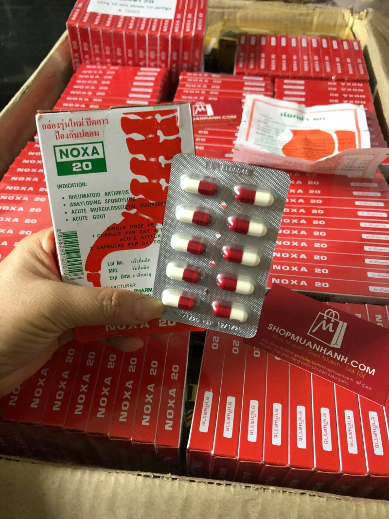 Xương Khớp Noxa 20 Thái Lan Chính Hãng - ảnh 3