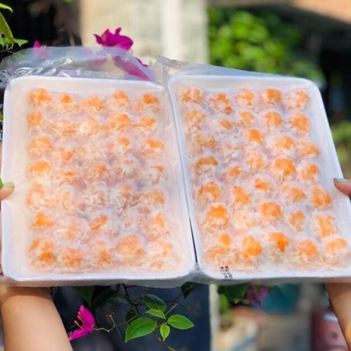 VIÊN HẢI SẢN PHÔMAI-1