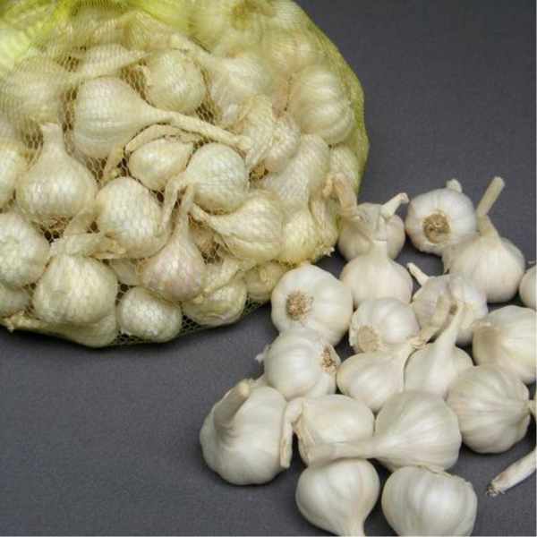 Cung cấp Tỏi Lý Sơn chính gốc Quảng Ngãi-5