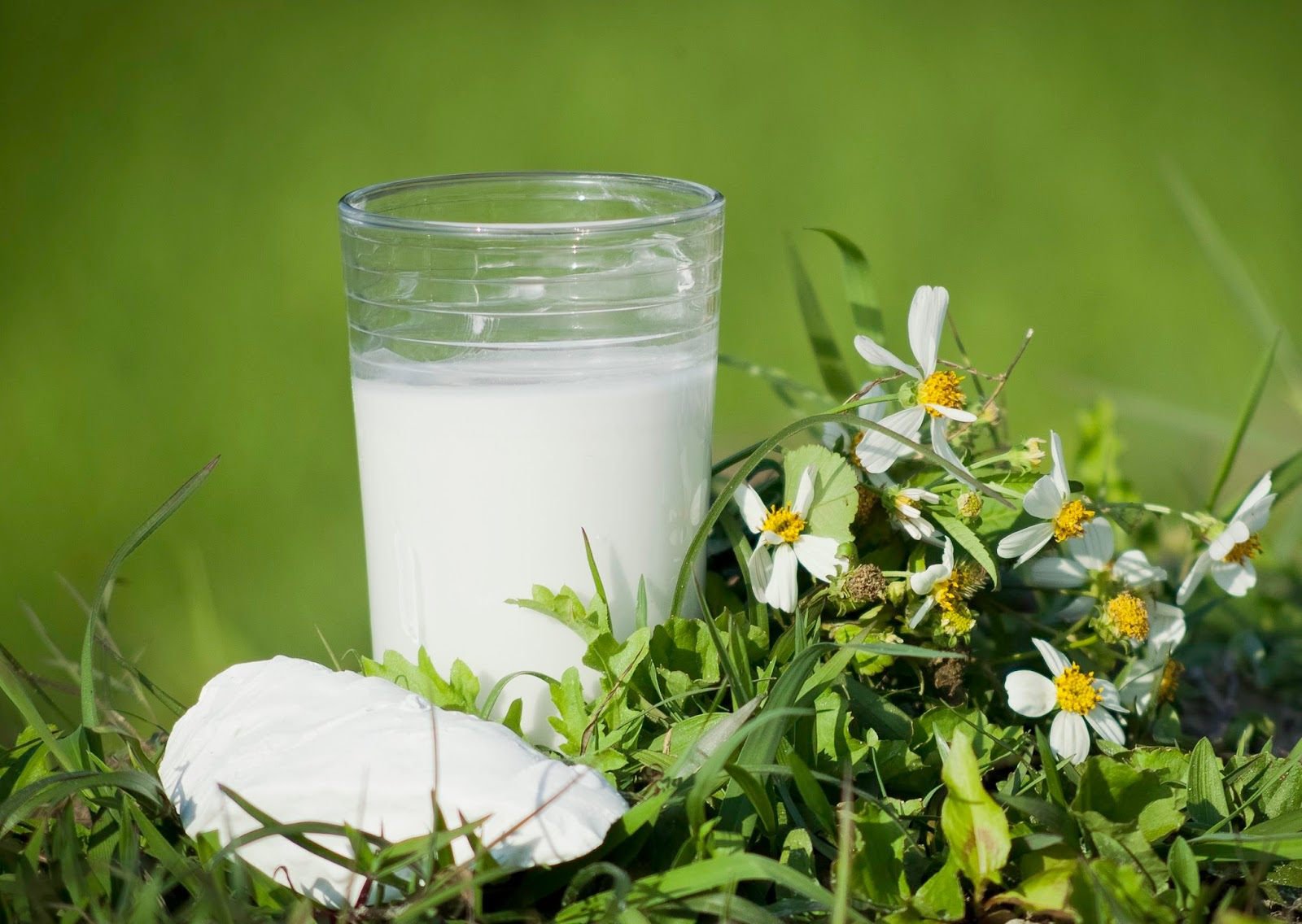 Chị em có biết 3 loại nước uống dân dã rẻ bèo là tiên dược giúp giải độc gan, trị sạch mọi loại mụn? cam-nang-cham-soc-da - 1